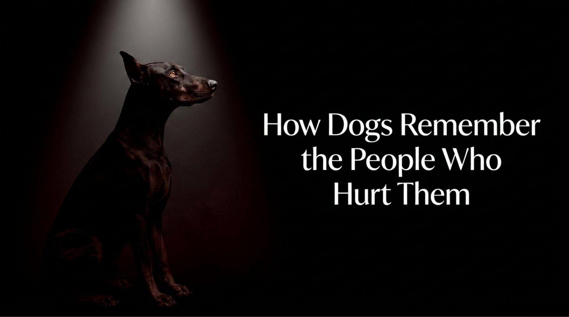 Video thumbnail for How Dogs Remember the People Who Hurt Them