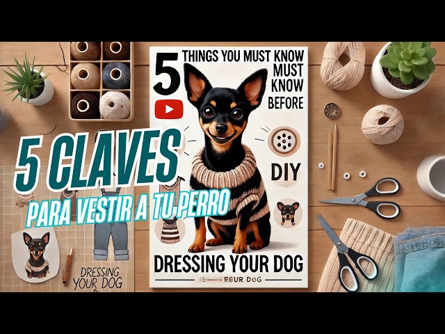 Video thumbnail for 5 cosas que debes saber antes de vestir a tu perro 🐕