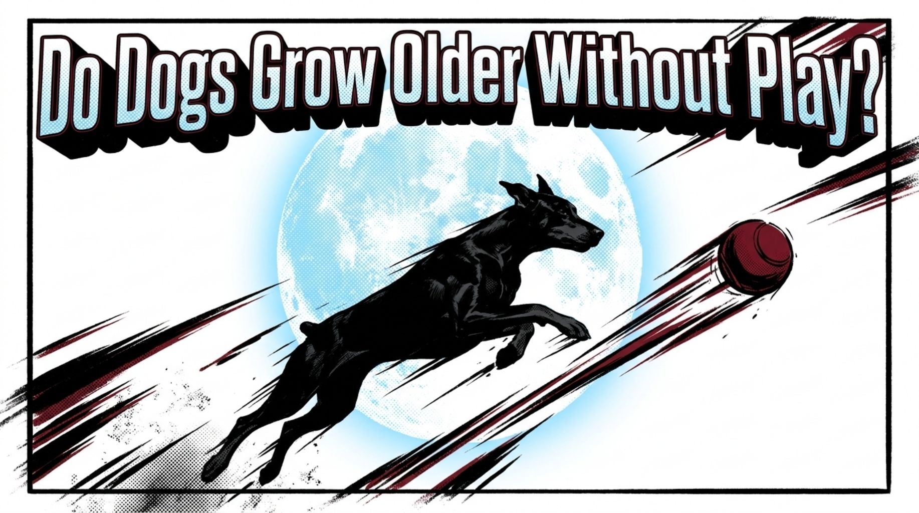 Video thumbnail for Why Play Keeps Dogs Young?