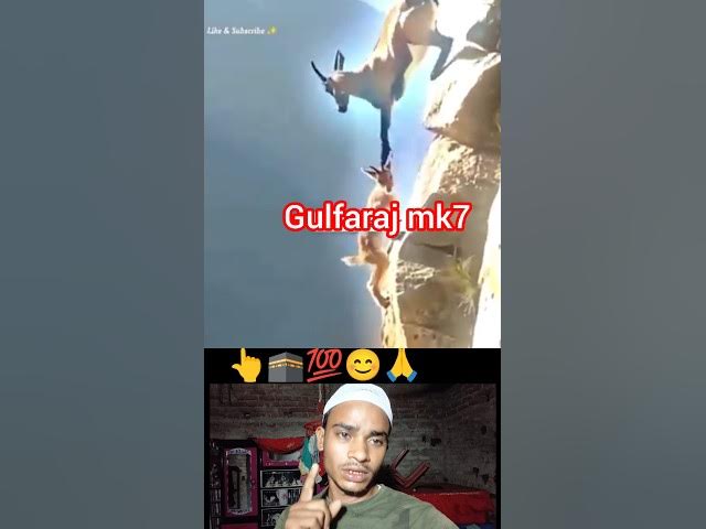 Video thumbnail for #bkffofficial1 #comedy#teamfortress2#teamfx