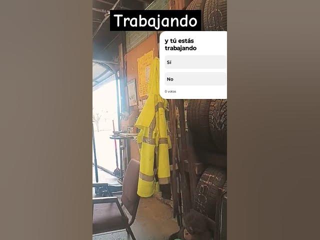 Video thumbnail for jeronimo #cat #humor el🐱