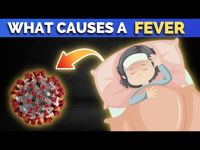 'Video thumbnail for What Causes A Fever And What Happens When You Have A Fever'