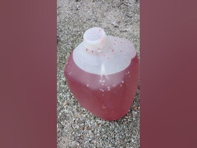 Video thumbnail for Water Level Food Coloring #Shorts