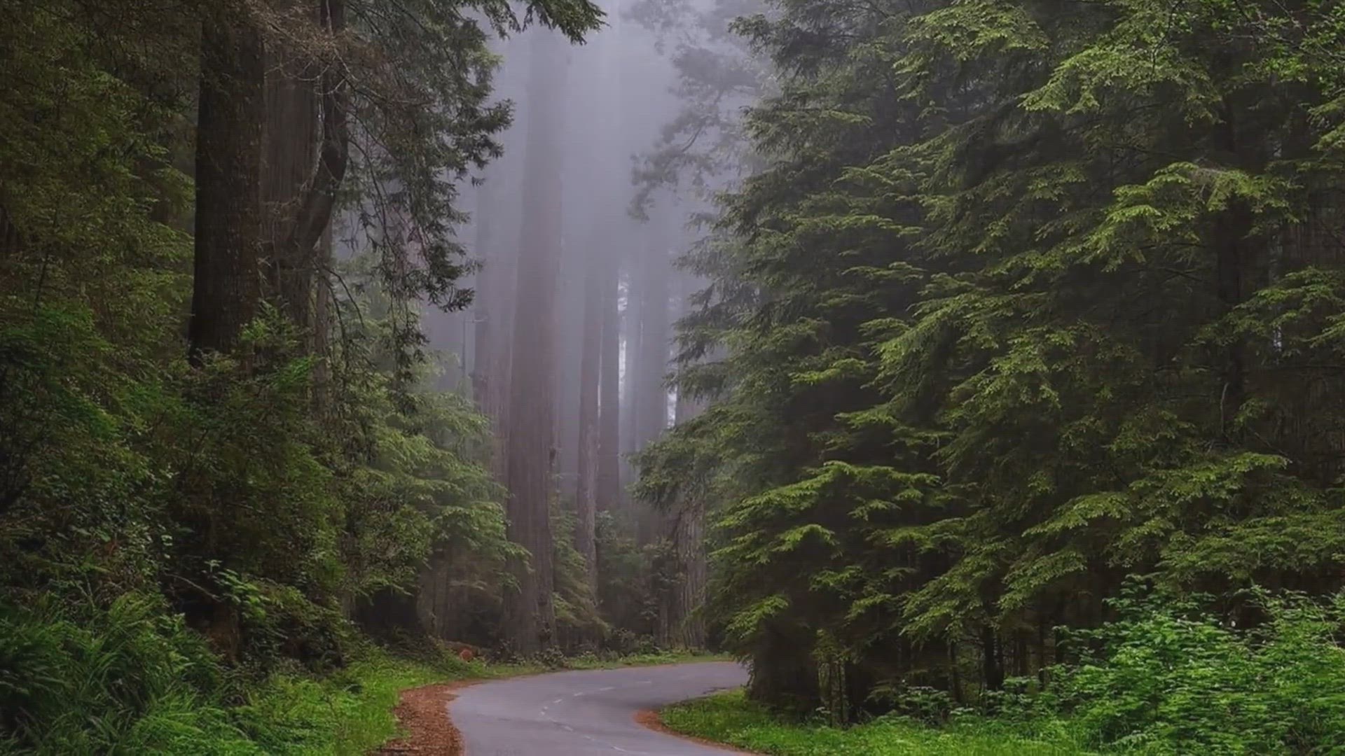 'Video thumbnail for Exploring Seattle's Climate: A Guide to Weather Patterns'