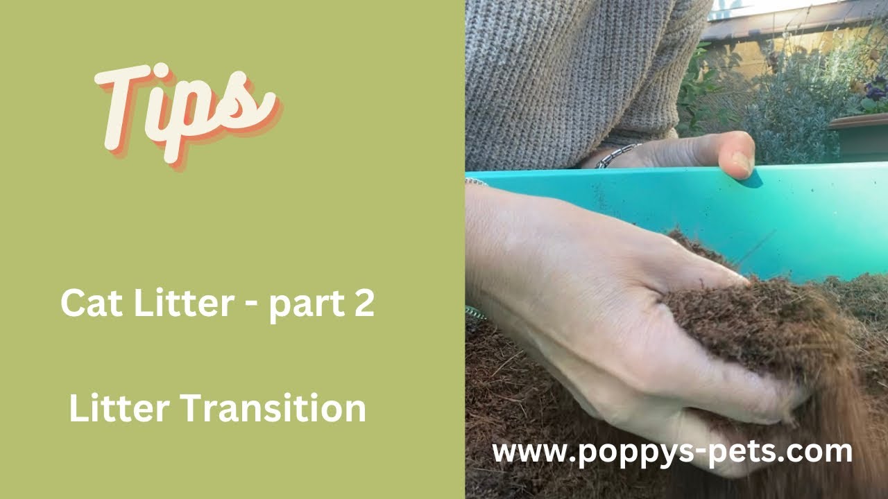 'Video thumbnail for Part 2: Cat Litter Transition  -Ideal for Cats with Arthritis, Cats & Human with Respiratory Issues,'