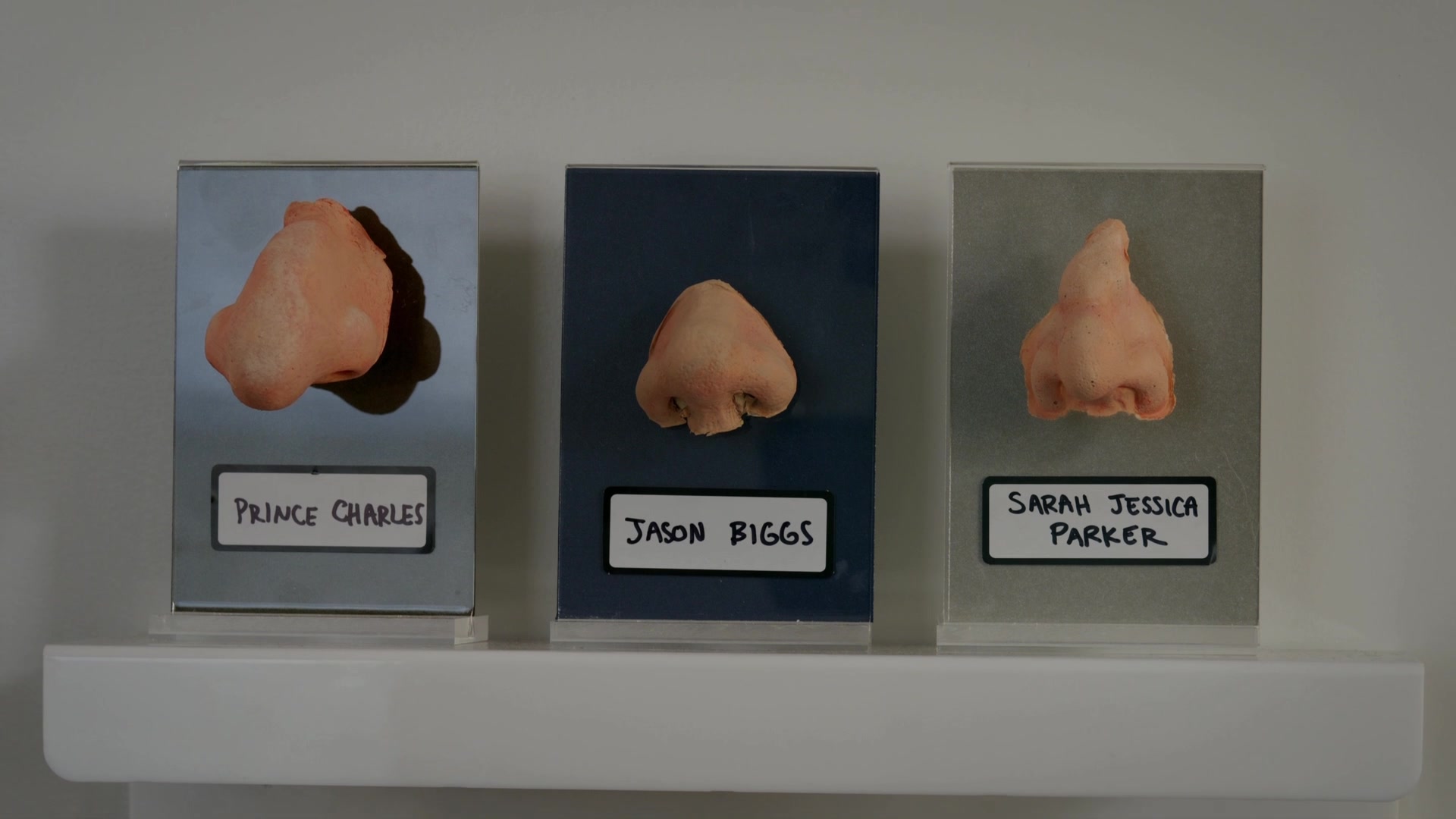 Video thumbnail for Catalogue of Noses - Screener - web export.mp4
