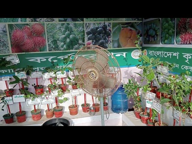 Video thumbnail for বৃক্ষমেলা -২০২৩, গাজীপুর - Tree Fair-2023, Gazipur