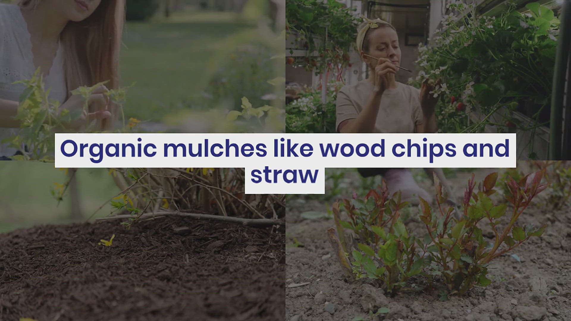 'Video thumbnail for How to Keep Weeds Out of Flower Beds'