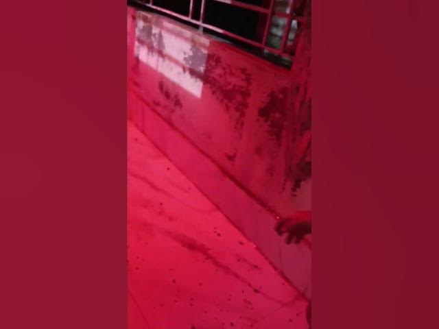 Video thumbnail for #my jaan baby❤️❤️❤️