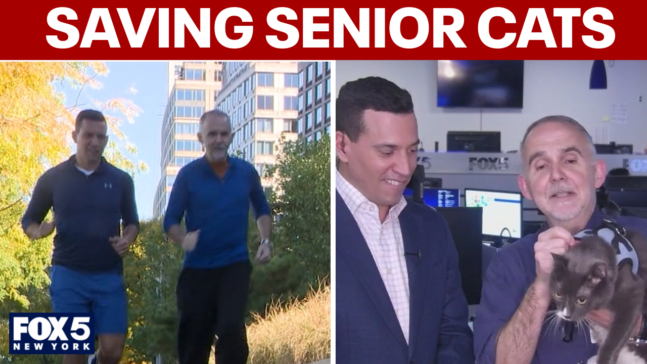 Video thumbnail for Meet the man who runs marathons for foster cats