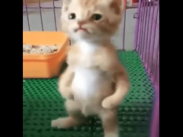 Video thumbnail for Awful Composin' Attempts to get gold rpg in Rivals