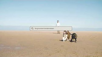 Video thumbnail for Grote hondenrassen: Leer alles over de grootste hondenrassen ter wereld