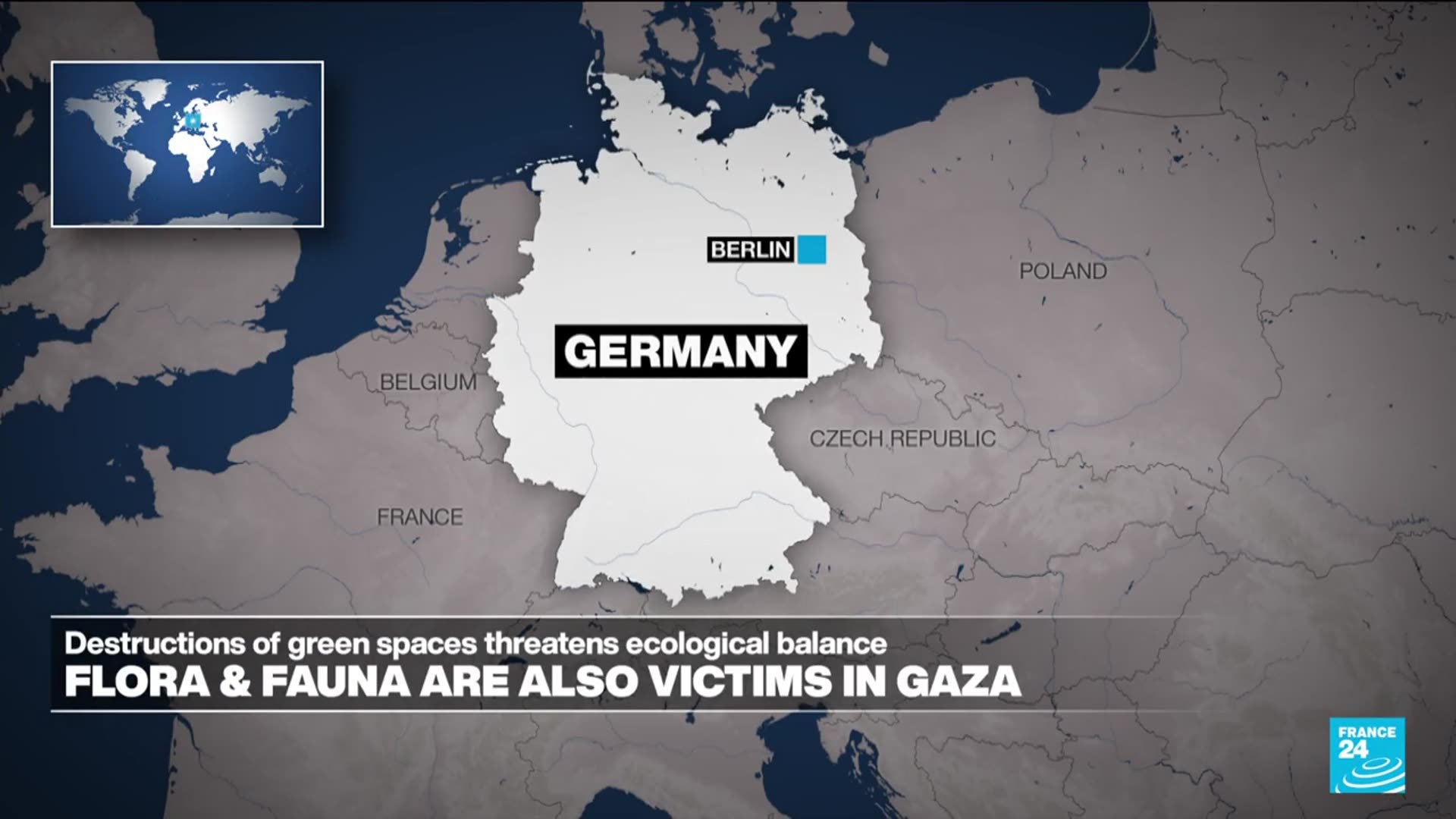 'Video thumbnail for Flora and fauna also victims in Gaza, threatening ecological balance'