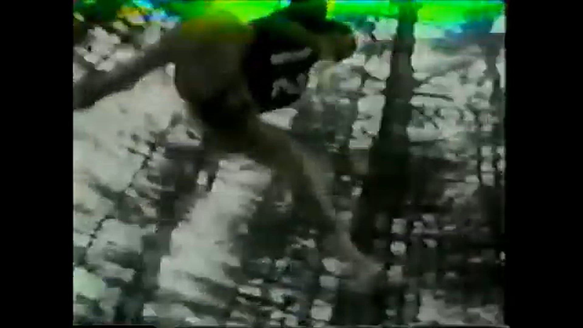 'Video thumbnail for 70s Spalding Voiceover Terry Bradshaw Running Shoes Commercial'