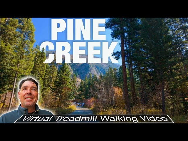 Video thumbnail for Breathtaking Forest Trail Walk You NEED - Experience Montana - Pine Creek, MT - City Walks