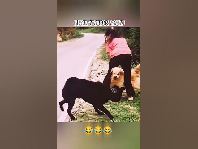 Video thumbnail for "आखिर तक देखना, अपनी हंसी रोक कर दिखाओ! 😂🔥"#hollywoodmovies #trending #viral