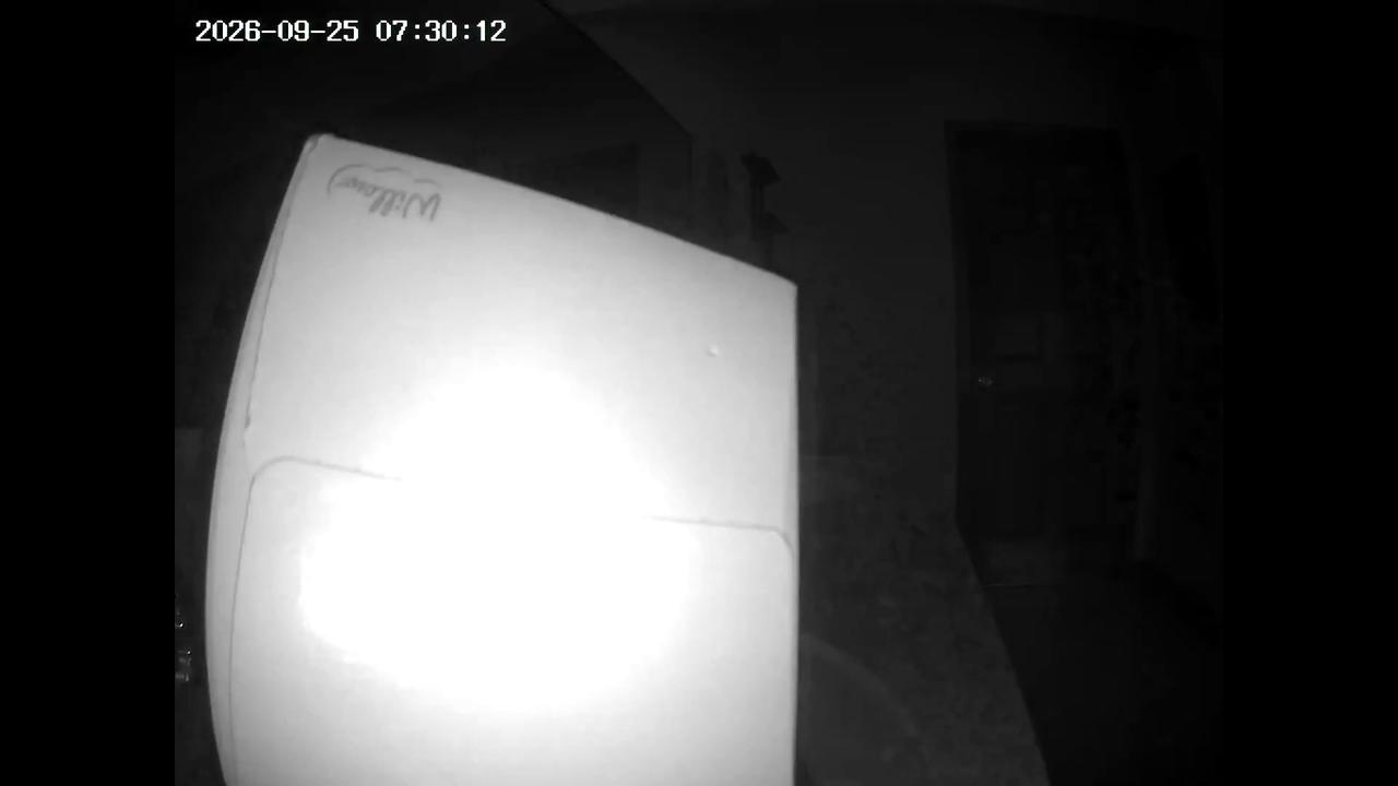 Video thumbnail for US: Cat Stuck in Tissue Box.