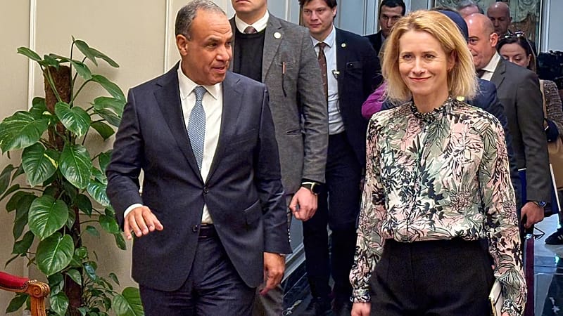 Video thumbnail for Egypt and EU agree on urgent need for second phase of Gaza ceasefire