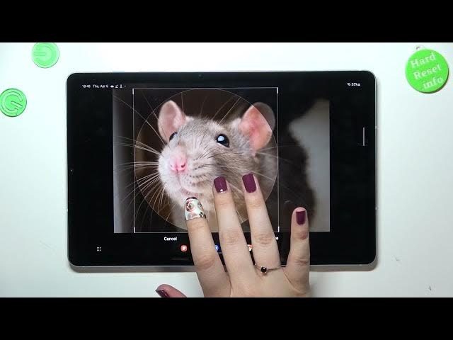 Video thumbnail for How to Add Photo to Contact in SAMSUNG Tab S6 Lite 2022 - Customize Profile Picture