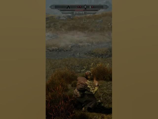 Video thumbnail for Skyrim- Everybody hates mud crabs