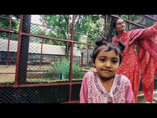Video thumbnail for চিড়িয়াখানা মিরপুর ময়ূরের খাঁচা