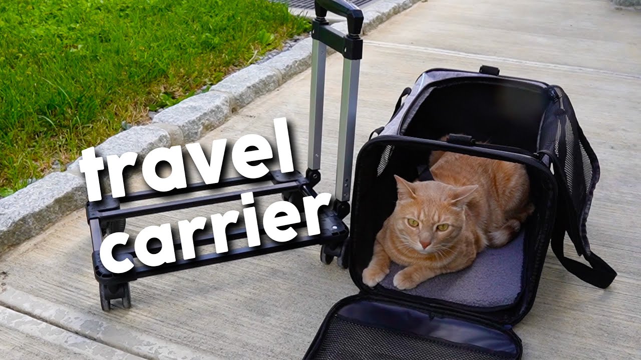Video thumbnail for What To Expect With The Morpilot Pet Travel Carrier