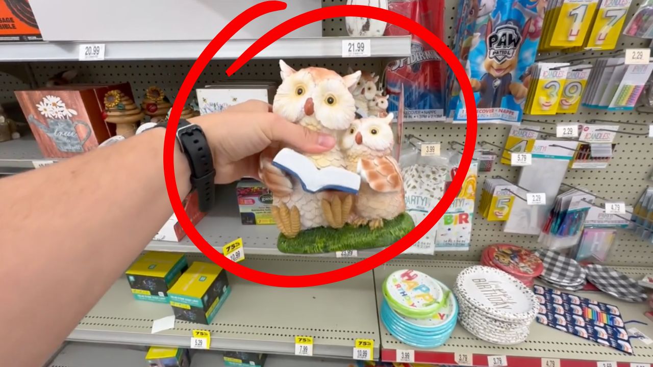 'Video thumbnail for The GENIUS new way people are using cheap lawn ornaments (NOT for their lawns!)'