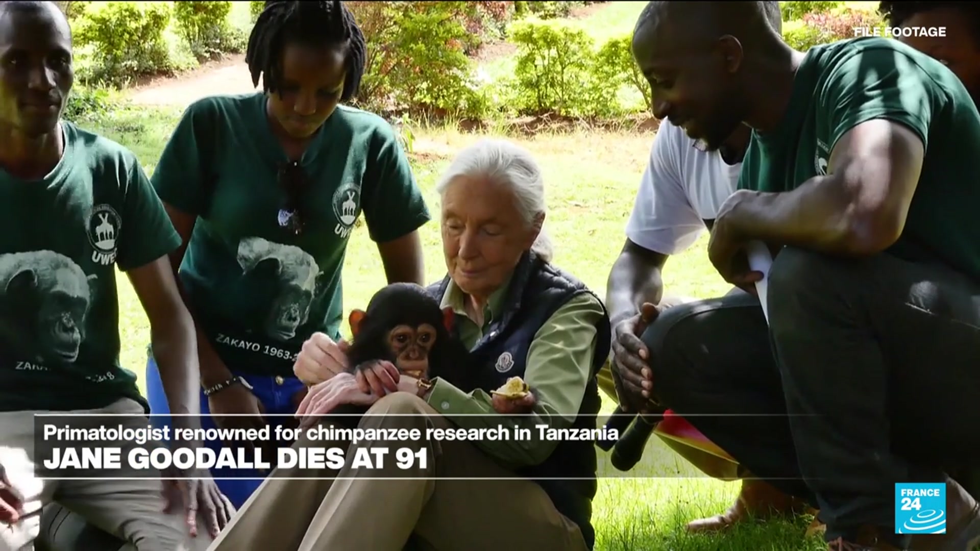 'Video thumbnail for Celebrated primatologist and conservationist Jane Goodall dies at 91'