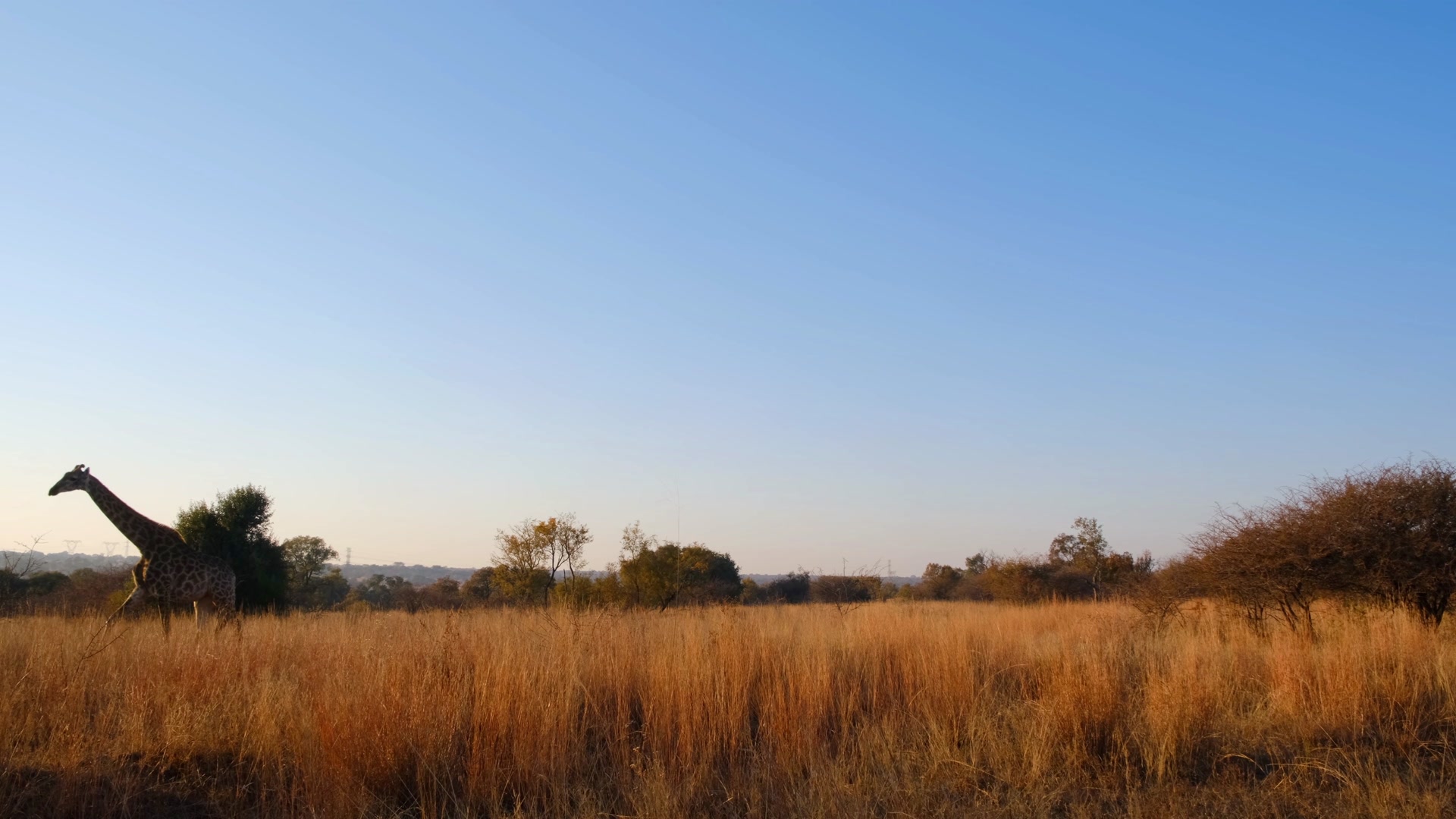 Video thumbnail for 4829604-uhd_3840_2160_30fps