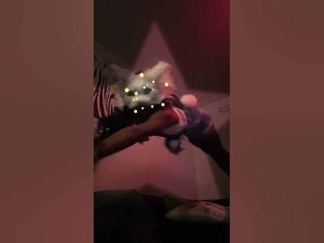 Video thumbnail for #Just chilling 🐈#