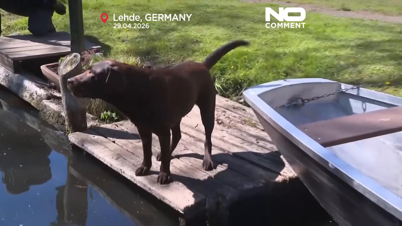 Video thumbnail for Germany’s canal village keeps 129-year mail-by-boat tradition alive