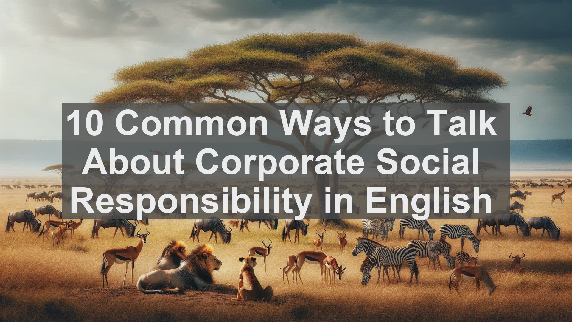 'Video thumbnail for 10 Common Ways to Talk About Corporate Social Responsibility in English '