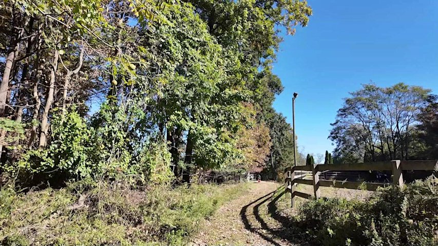 Video thumbnail for Huntington residents question hunting safety after deer incident