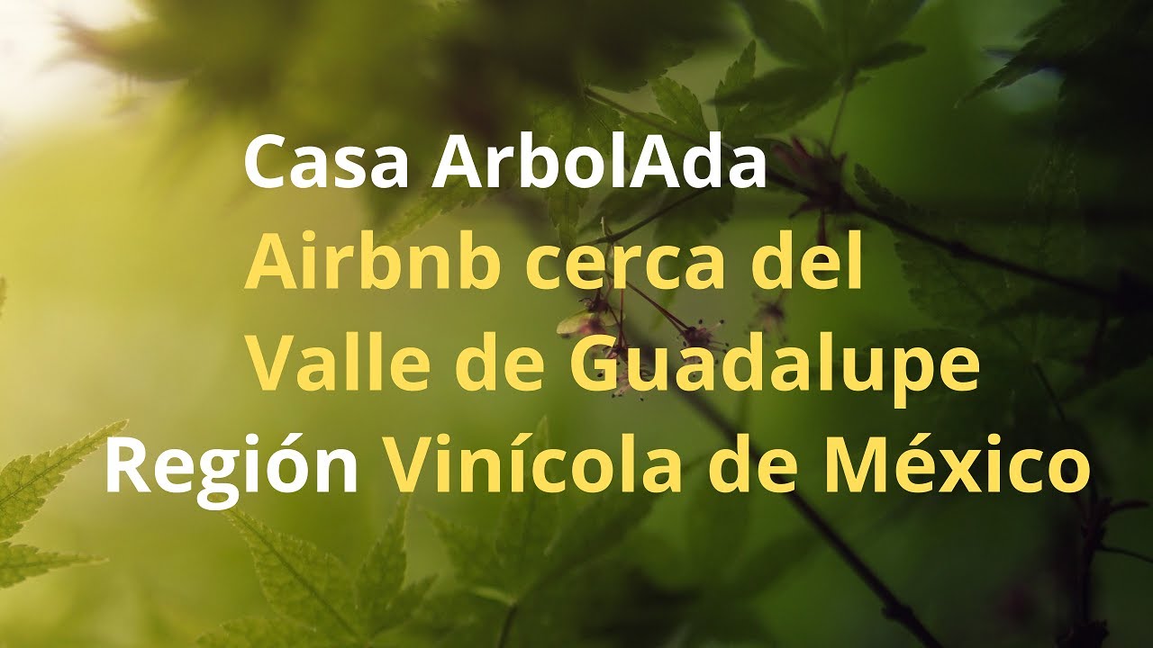 Video thumbnail for Airbnb cerca de la Región Vinícola de México / Valle de Guadalupe / Ensenada / Casa ArbolAda