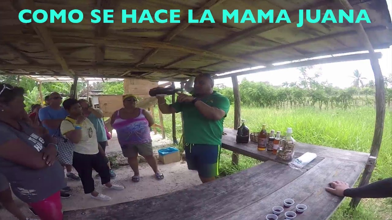 Video thumbnail for Como se Hace la Mama Juana Republica Dominicana