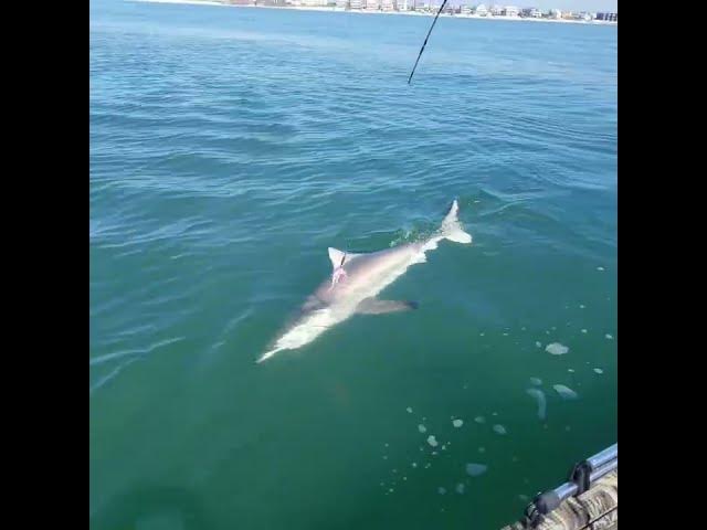 Video thumbnail for October 9, 2025