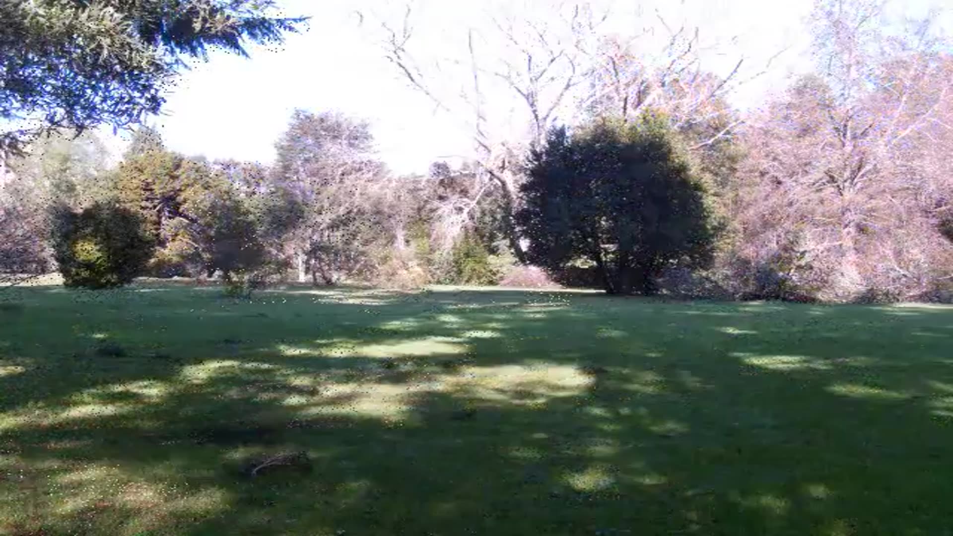 Video thumbnail for jardinbotanico