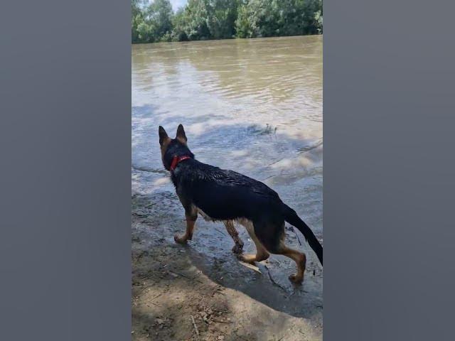 Video thumbnail for hahaha