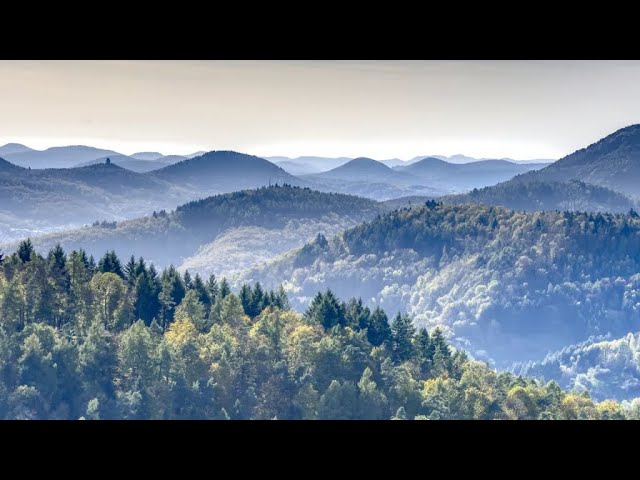 Video thumbnail for If Worlds Collide Archives: Call of the Fangmoor, the Fourth Day