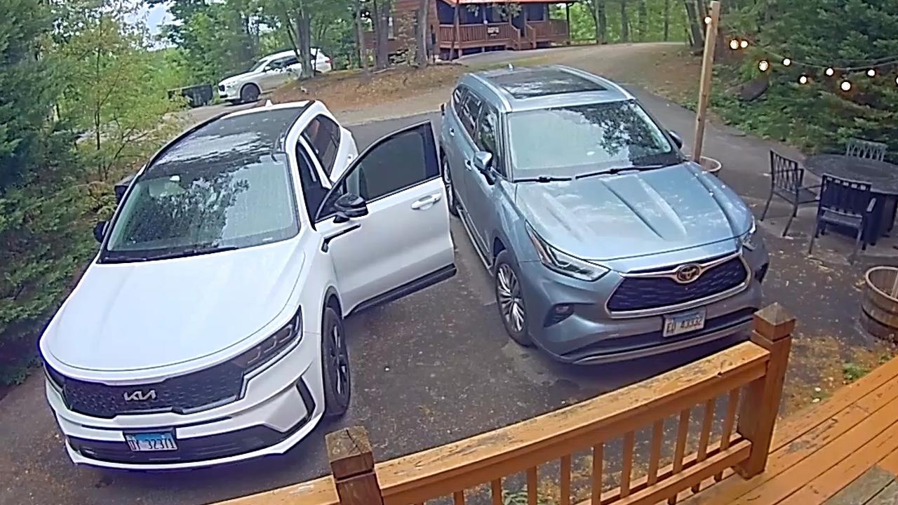 Video thumbnail for Gatlinburg Black Bear Knows To Try Car Doors