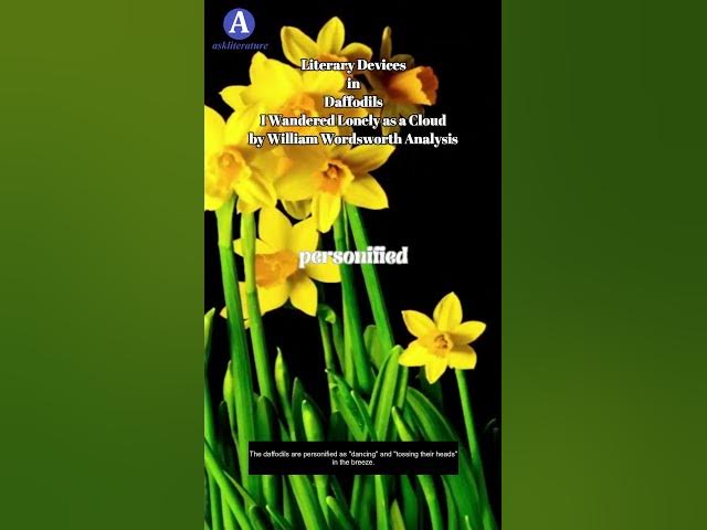 Video thumbnail for I Wandered Lonely as a Cloud by William Wordsworth Literary Devices