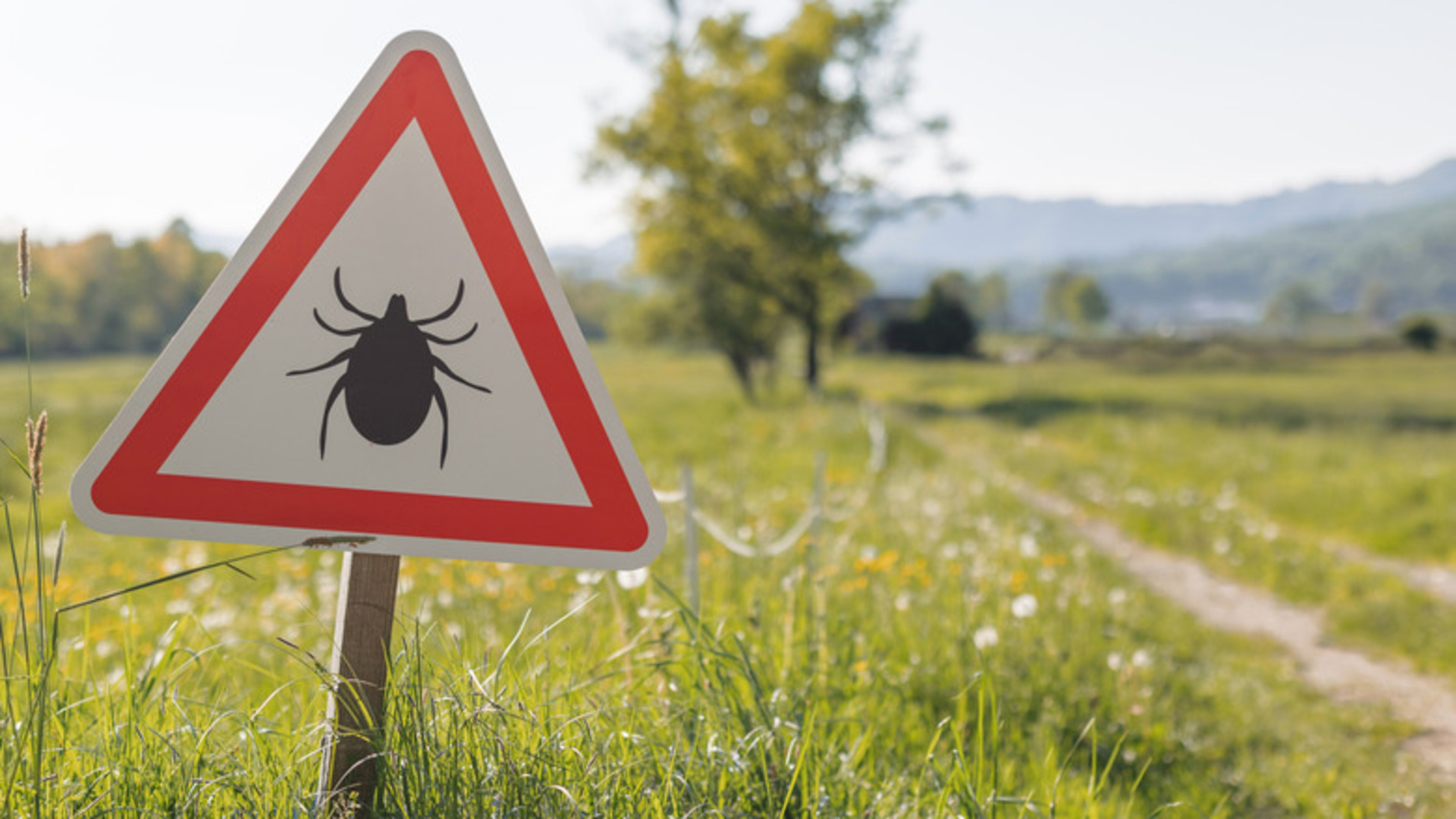 Video thumbnail for How To Repel Ticks With A Simple But Overlooked Solution