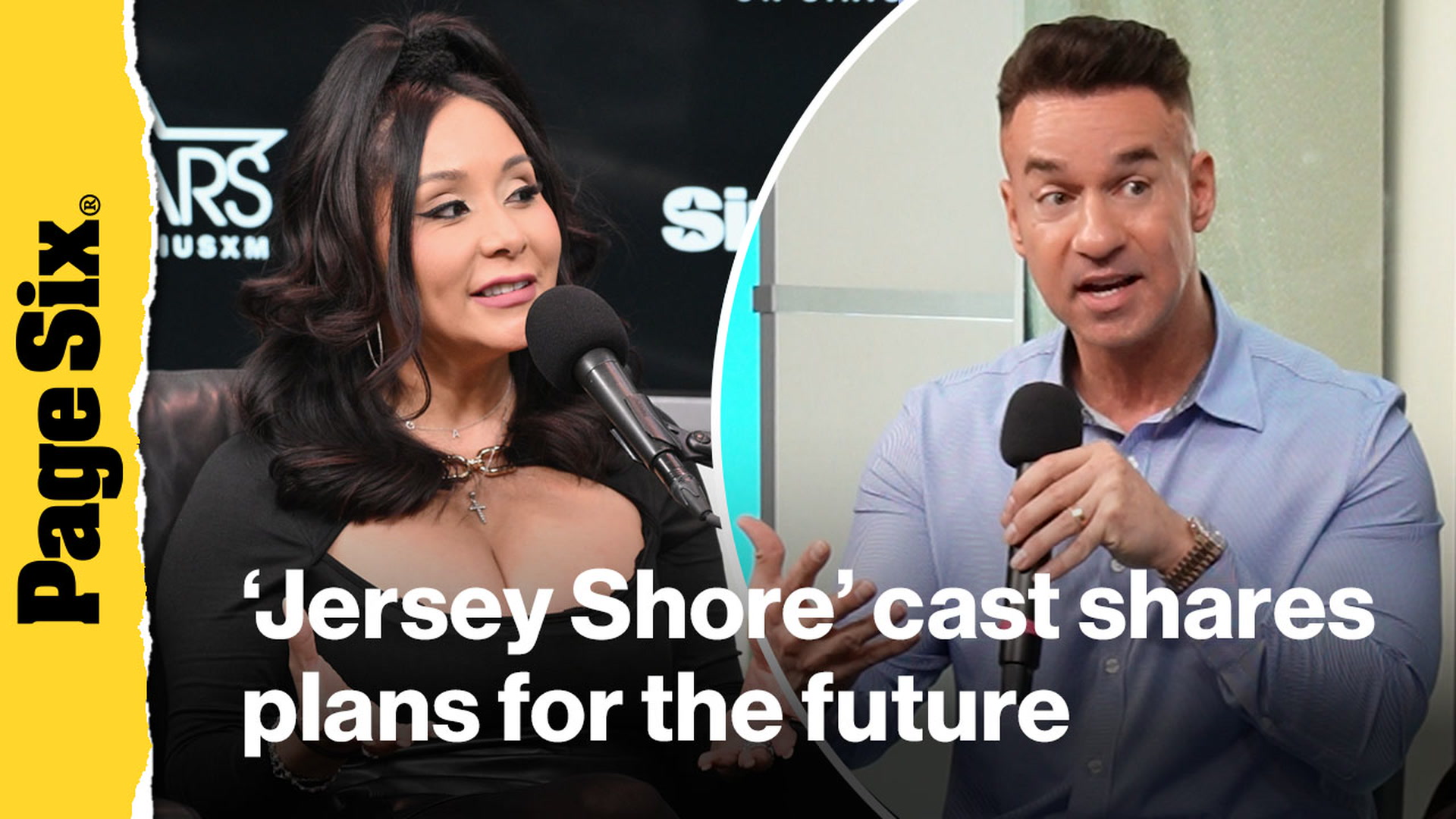 Video thumbnail for 'Jersey Shore' cast shares plans for the future of the show