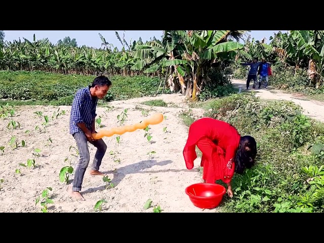 Video thumbnail for Mahiya Mahi funny video.  Lite fun all group