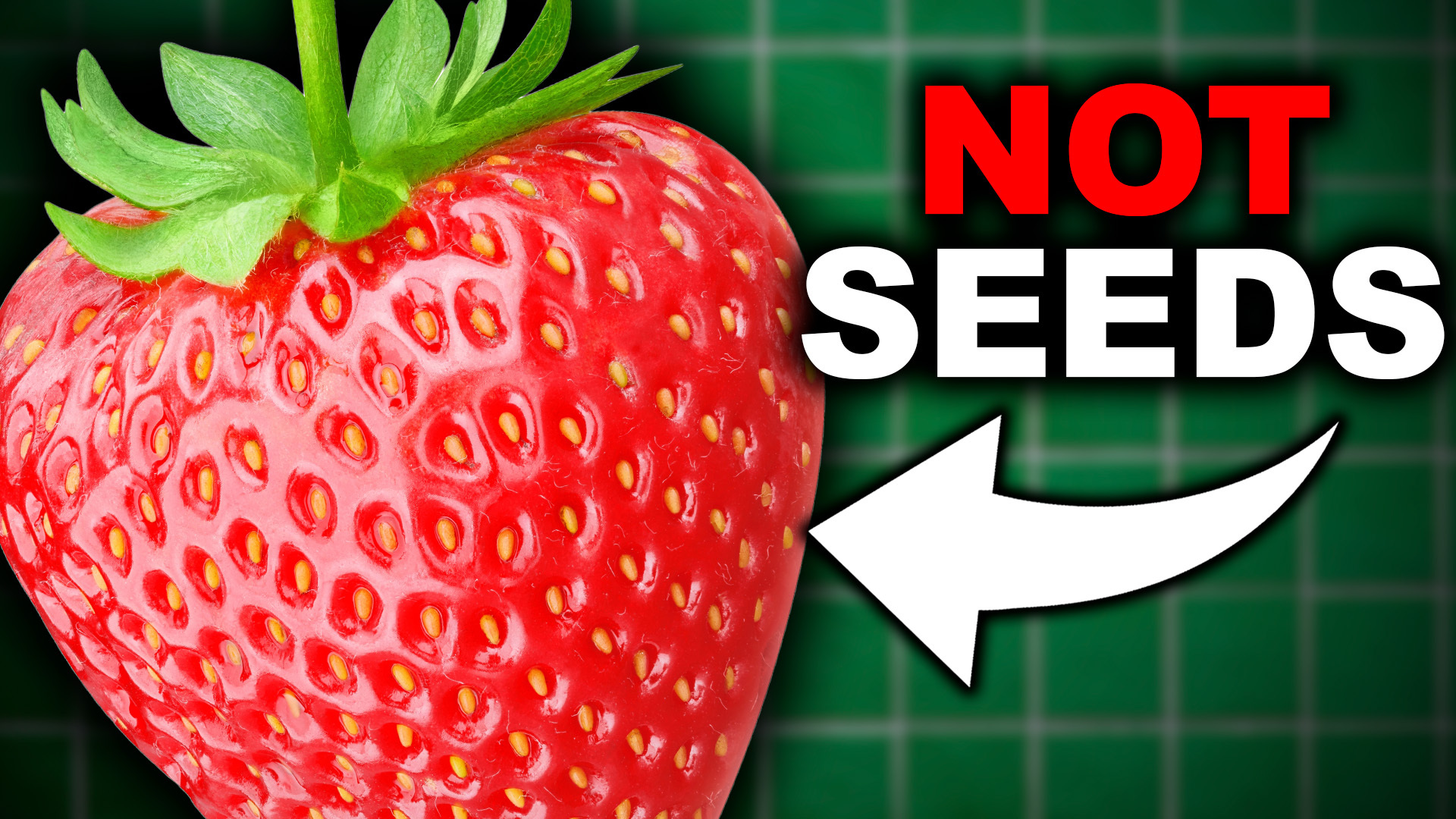 Video thumbnail for Those Tiny Specks On A Strawberry Aren't Seeds