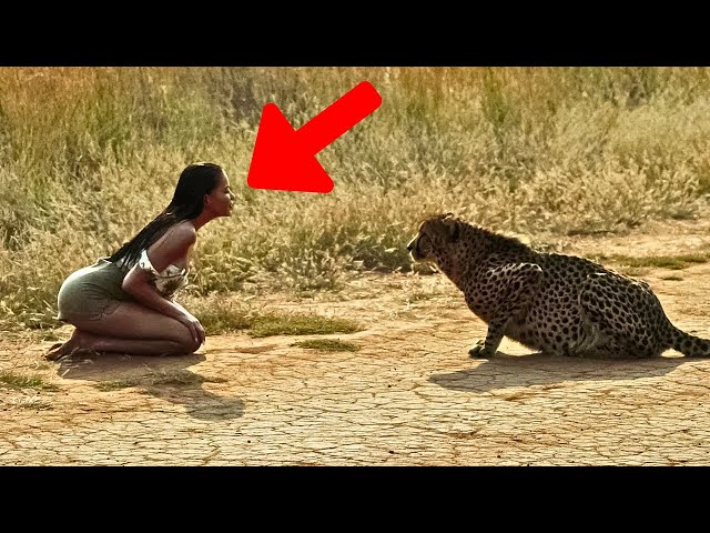 Video thumbnail for This Tiger’s Reaction After Seeing A Pregnant Woman Is The Most Incredible Thing You’ll See Today