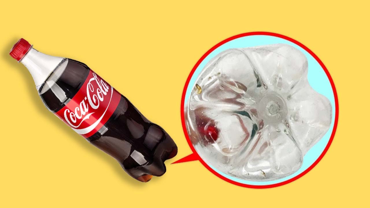 Video thumbnail for 10 Interesting Facts You're too Lazy to Google