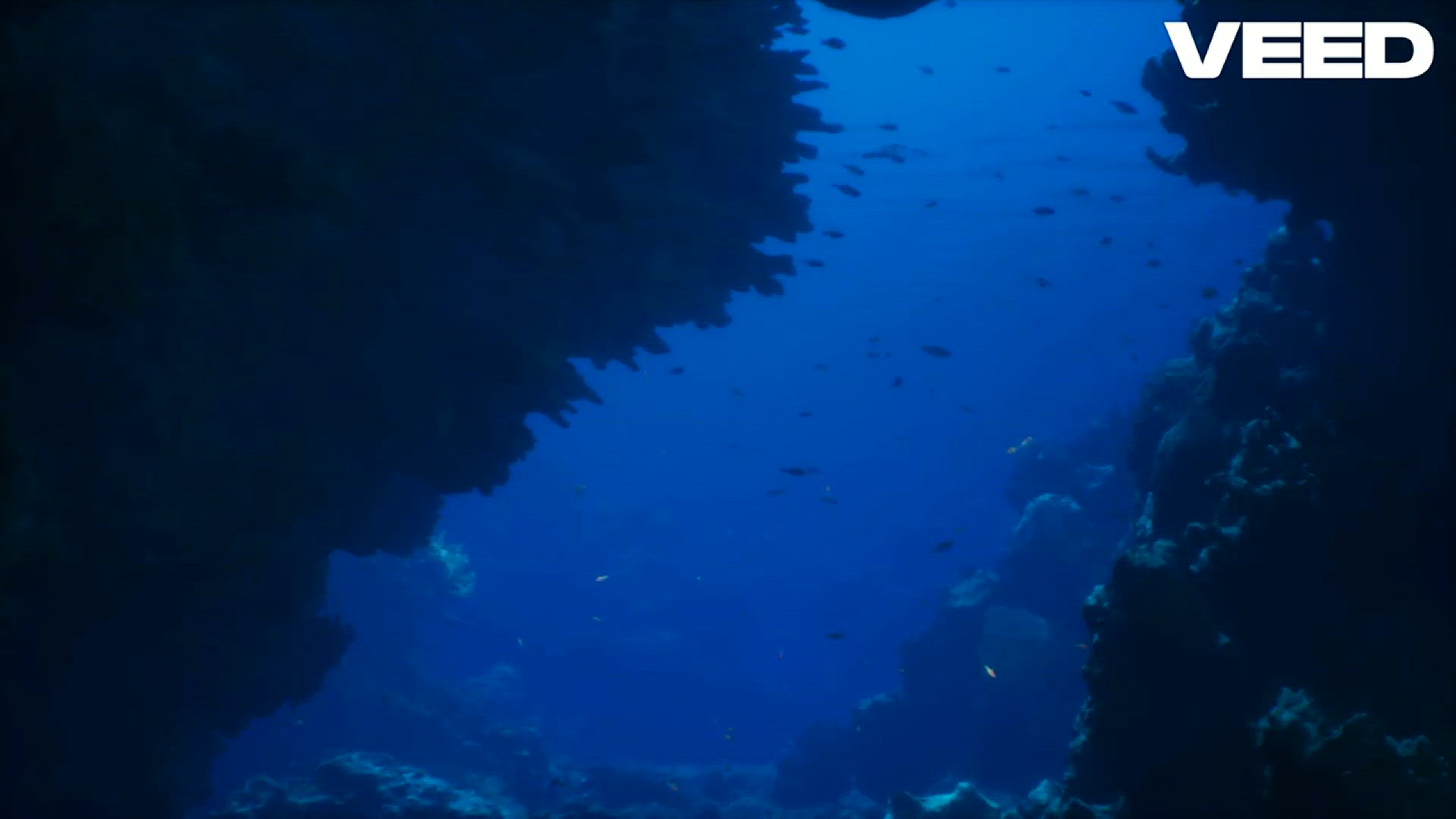 Video thumbnail for Ultimate Axolotl Tank Setup Guide!