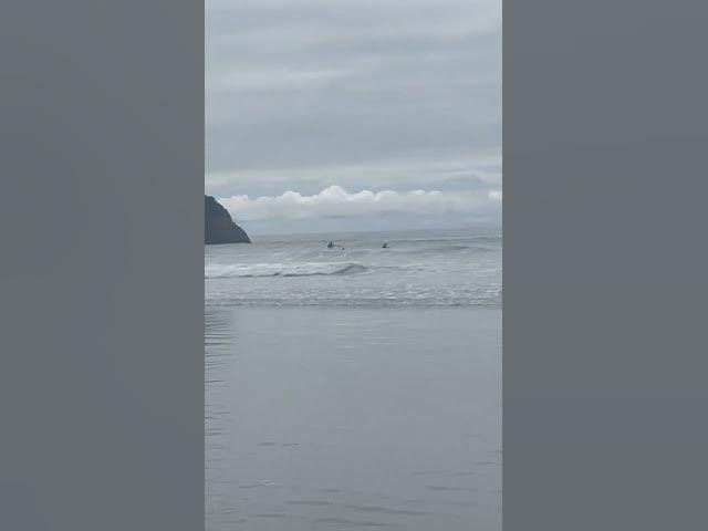 Video thumbnail for Tofino Long Beach BC