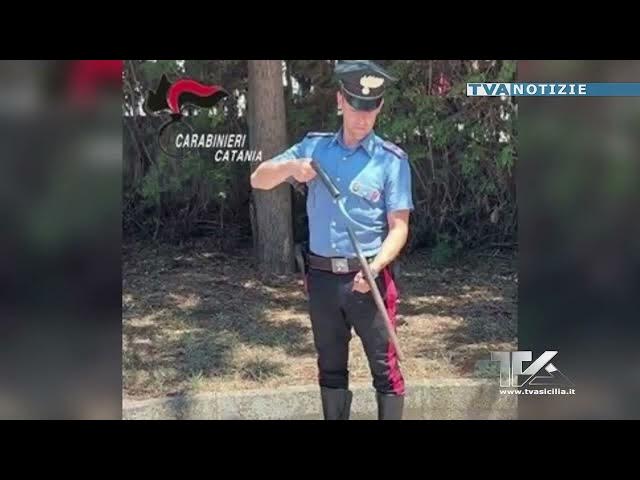 Video thumbnail for Mineo. In un fondo agricolo spunta un fucile per la frutta contesa. Dopo l’intervento dei carabinier